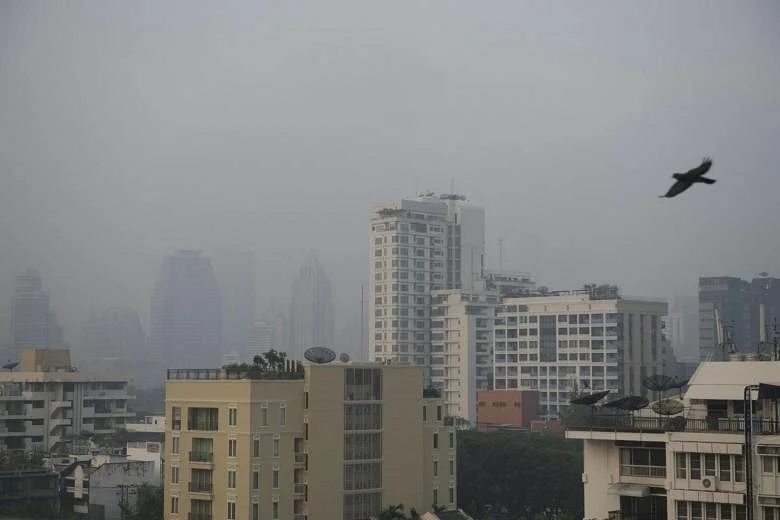 มลพิษฝุ่นในประเทศไทย